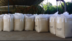 Bao Jumbo, loại 800 Kg Bao-Jumbo-loai-800-Kg