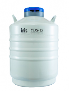 Binh-YDS-15