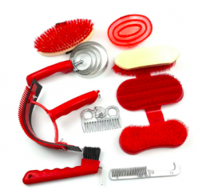 Bo-dung-cu-chai-long-ngua