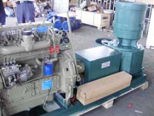 May-ep-vien-700-Kg-h-Model-300B