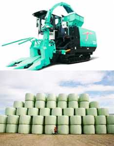 May-thu-hoach-cay-ba-p-co-voi-tu-dong-cuon