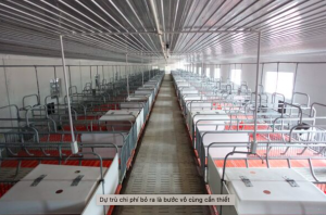 Mo-hinh-chuong-nhot-tieu-gia-suc